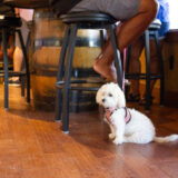 Family Funday Sunday